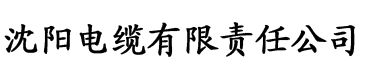 极速车神电缆厂logo